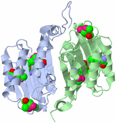 Image Biological Unit 3