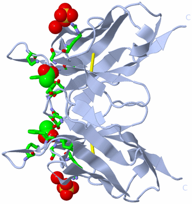 Image Biol. Unit 1 - sites