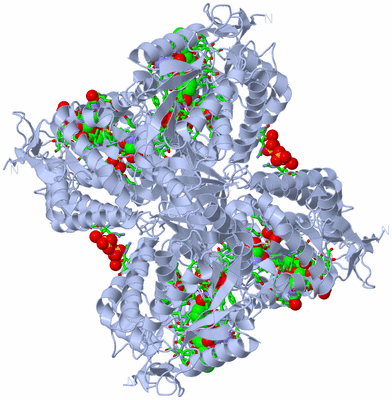 Image Biol. Unit 1 - sites