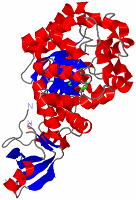 Image Asym./Biol. Unit - sites