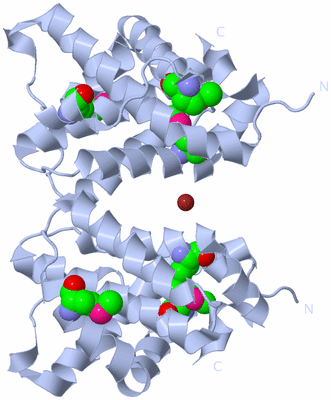 Image Biological Unit 1