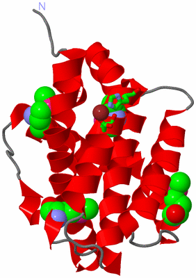 Image Asym. Unit - sites