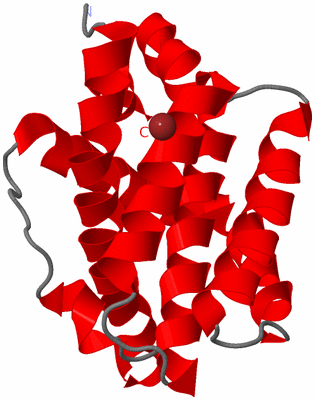 Image Asymmetric Unit