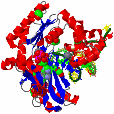 Image Asym./Biol. Unit