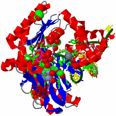 Image Asym./Biol. Unit - sites