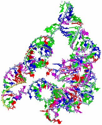 Image Theoretical Model