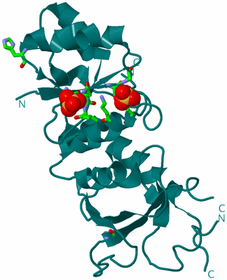 Image Biol. Unit 1 - sites