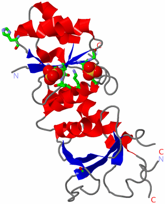 Image Asym. Unit - sites