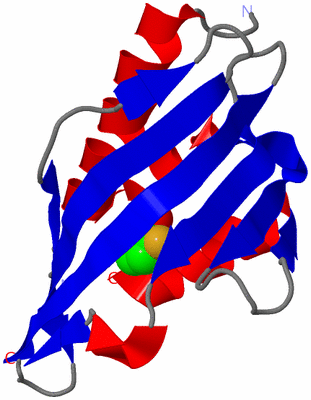 Image Asymmetric Unit