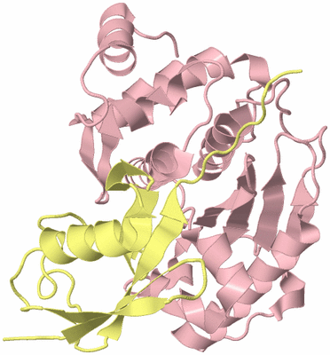 Image Biological Unit 2