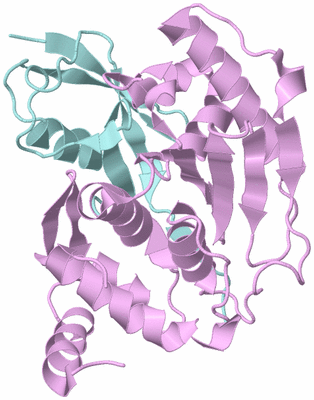 Image Biological Unit 3