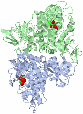 Image Asym./Biol. Unit