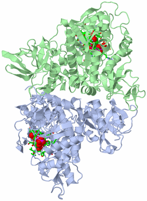 Image Asym./Biol. Unit - sites