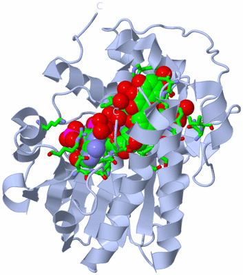 Image Biol. Unit 1 - sites