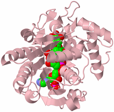 Image Biological Unit 3