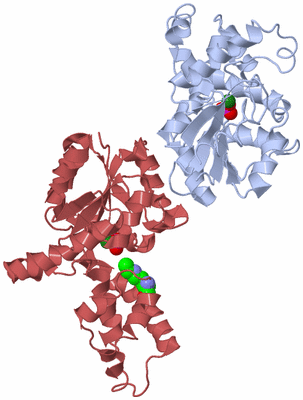 Image Asym./Biol. Unit