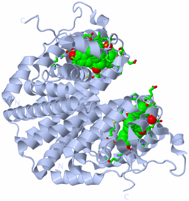 Image Biol. Unit 1 - sites