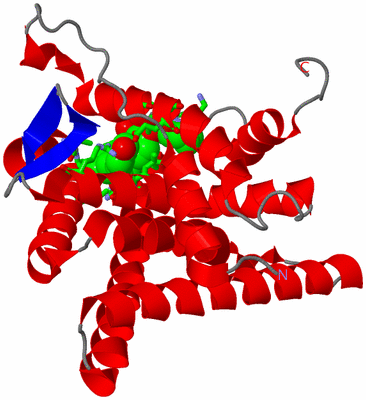 Image Asym. Unit - sites