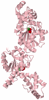 Image Biological Unit 2