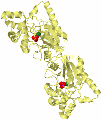 Image Biological Unit 3