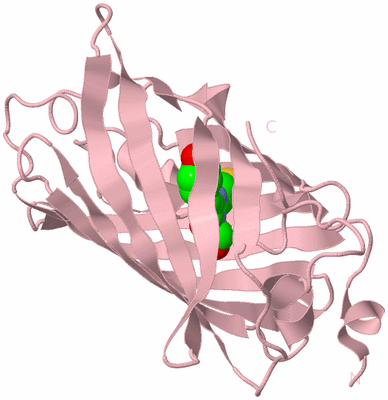 Image Biological Unit 3