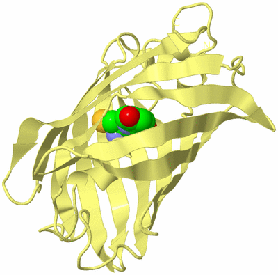 Image Biological Unit 4