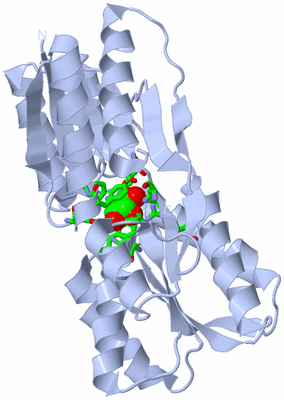 Image Biol. Unit 1 - sites