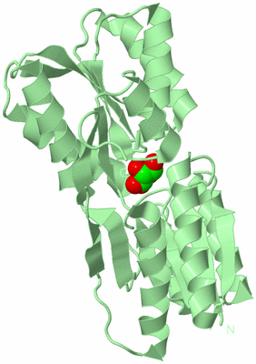 Image Biological Unit 2