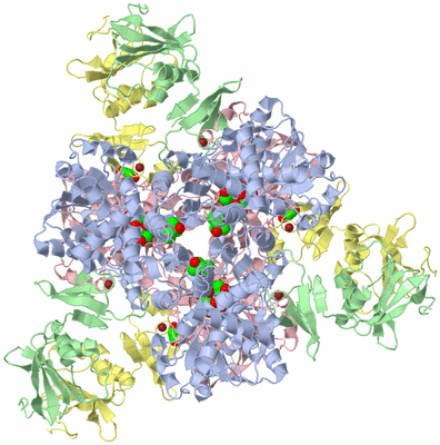 Image Biological Unit 1