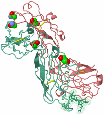 Image Biological Unit 1