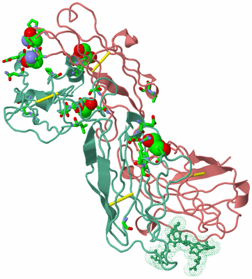 Image Biol. Unit 1 - sites