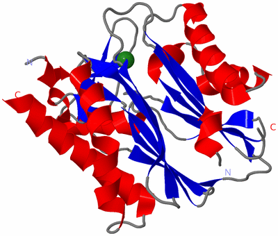 Image Asym./Biol. Unit