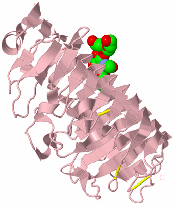 Image Biological Unit 3