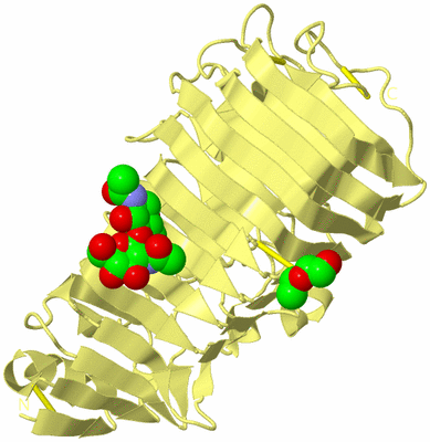 Image Biological Unit 4