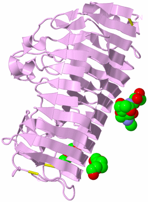 Image Biological Unit 5