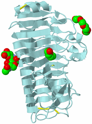 Image Biological Unit 6