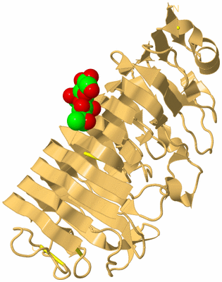 Image Biological Unit 7