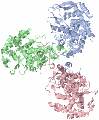 Image Asym./Biol. Unit