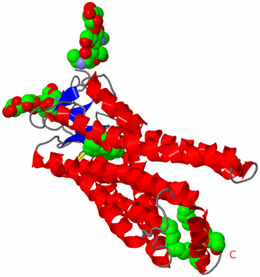 Image Theoretical Model