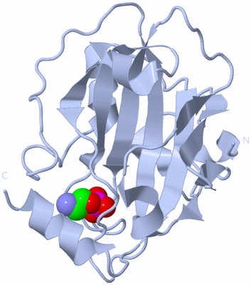 Image Biological Unit 1