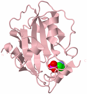 Image Biological Unit 3