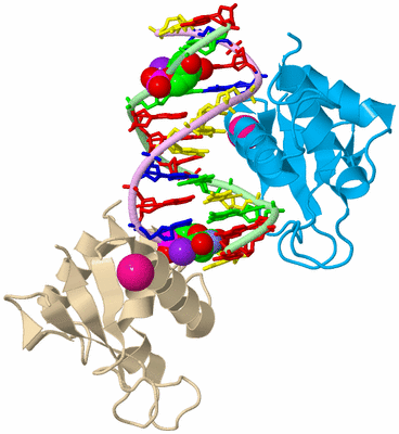 Image Biological Unit 2