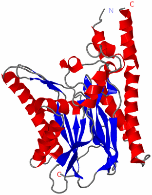 Image Asym./Biol. Unit