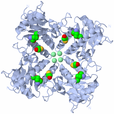 Image Biological Unit 1