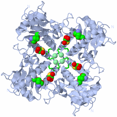 Image Biol. Unit 1 - sites