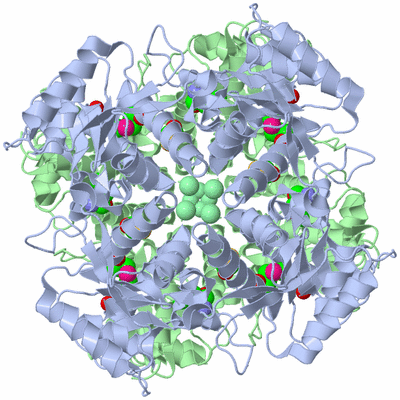 Image Biological Unit 3