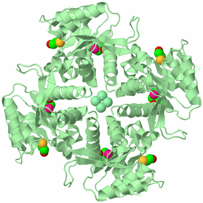 Image Biological Unit 4