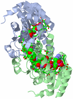 Image Biol. Unit 1 - sites