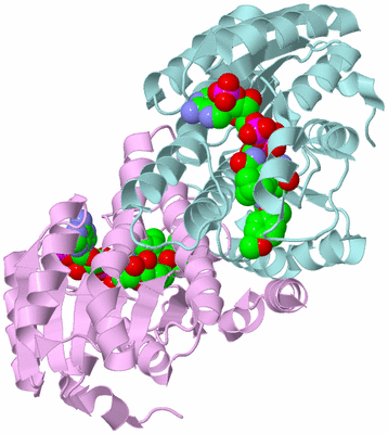 Image Biological Unit 3