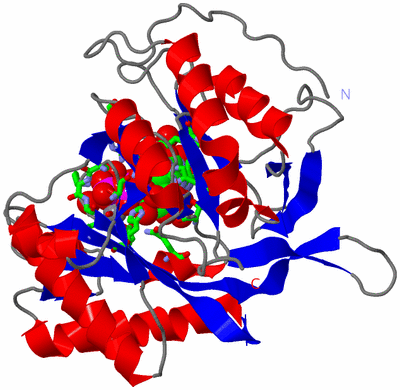 Image Asym./Biol. Unit - sites